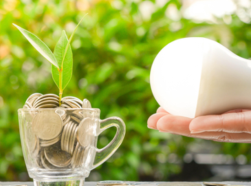 hand holding lightbuld towards cup of money with plant 